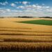 Молитва за Україну