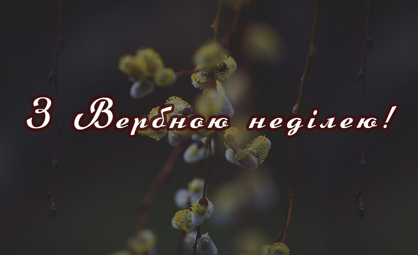 вітаю з вербною неділею