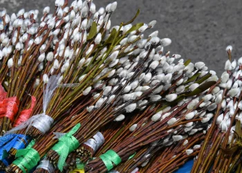 Красиві листівки Вербна неділя – привітання