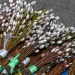 Красиві листівки Вербна неділя – привітання